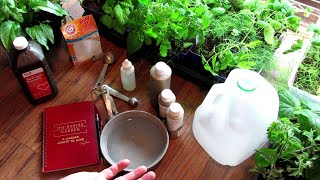 Using Garden Spray Recipes 101: Neem Oil, Peppermint Oil, Baking Soda & Hydrogen Peroxide Sprays Explained!