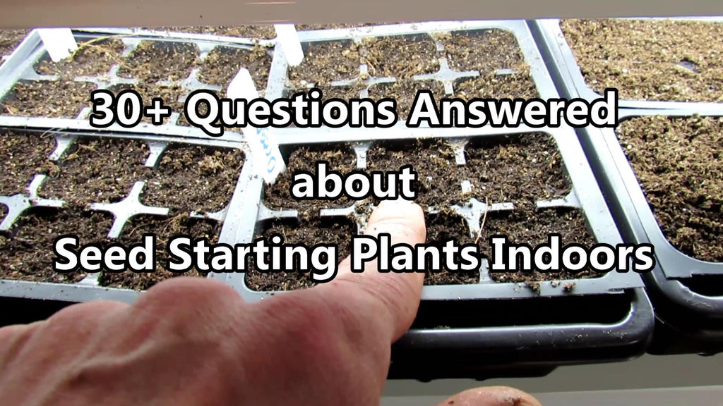 Seed Starting Basics: 30+ Questions Answered on Seed Starting Indoors - Digital Table of Contents