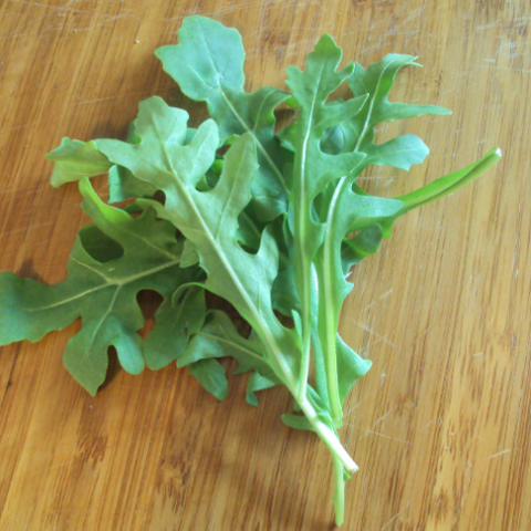 Herb Seeds - Arugula