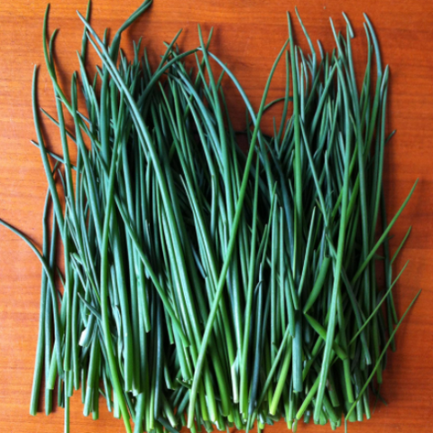 Herb Seeds - Chives