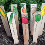 Vegetable Seed "25 Different Packs" for $35.00