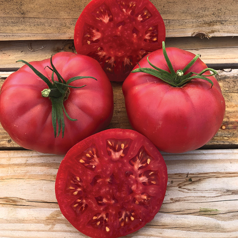 Tomato Seeds - Ponderosa Pink (Heirloom)
