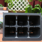 Seed Starting Insert Cells (6 Cells Per Unit- SMALL/STANDARD) - 12 Units/Inserts