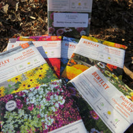 Bentley (2023 Stock 75% 0ff) Flower Seed Mixed Annual and Perennial Set  - 10 Varieties