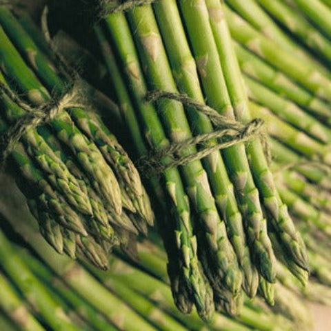 Asparagus Seeds - Mary Washington