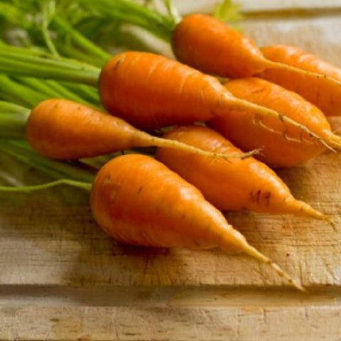 Carrot Seeds - Chantenay Red Core Heirloom
