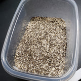 Lettuce Mix - The Rusted Garden Blend 2.0 oz. - 8 of our Favorite Varieties!