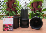 Seed Flats and Seed Starting Insert Cells Assortment   6 flats, 6 various seed cell inserts and 20 Transplant Pots with a 6 Pack of Seed Grab Bag Bonus