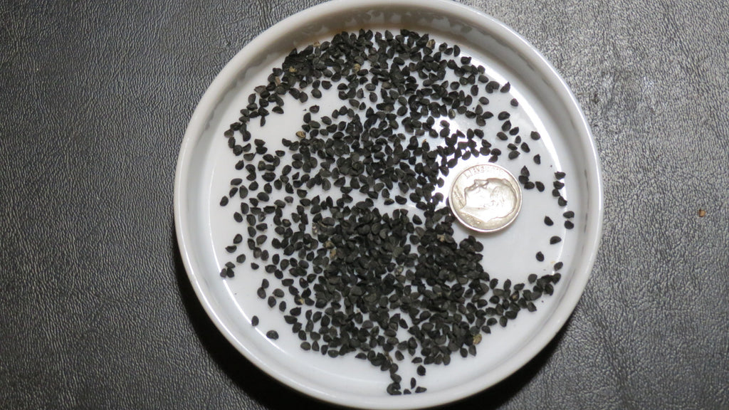plant leek seeds Leek Seeds