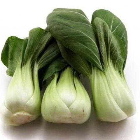 Pak Choy Seeds - Canton