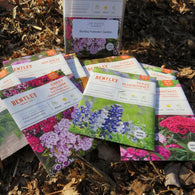 Bentley (2023 Stock 75% 0ff) Pollinator Garden Set - 8 Varieties Flowers / Herbs