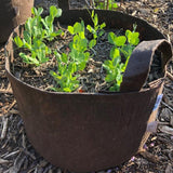 Root Pouch 6 Pack Recycled Fabric Containers - #20 (21.32G) #10 (10.44 G) and #5 (4.22 G) 2 of each