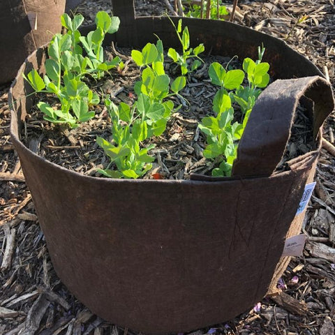 Root Pouch 6 Pack Recycled Fabric Containers - #20 (21.32G) #10 (10.44 G) and #5 (4.22 G) 2 of each