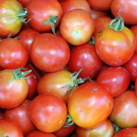 Tomato Seeds - Siberian (Heirloom)