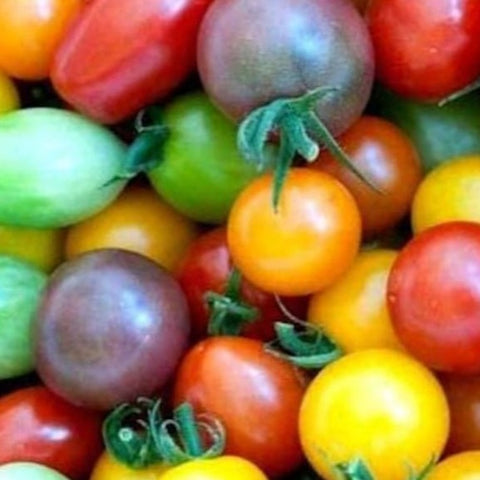 Tomato Seeds Rainbow Cherry Mix