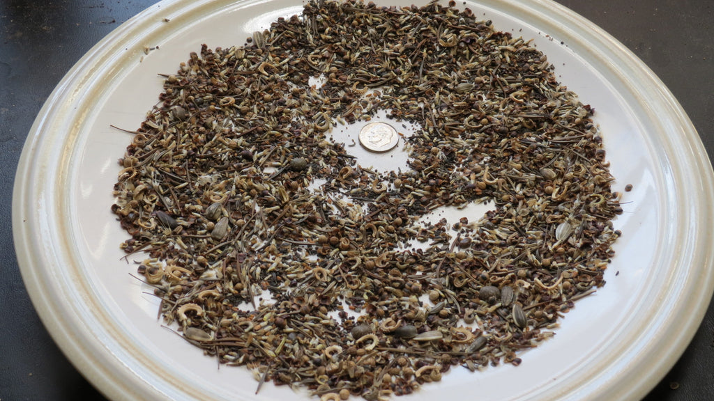Wildflower Seed Mix (One Ounce) for Birds, Beneficials, Bees & Butterf   The Rusted Garden