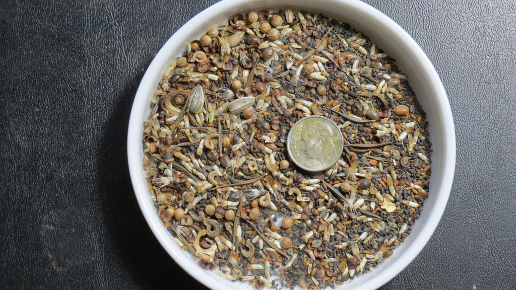wildflower seed com Wildflower Seed Mix (Tablespoon Approx .2 oz. ) for Birds, Beneficials –  The Rusted Garden