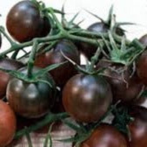 Tomato Seeds - Black Cherry (Heirloom)