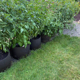 Root Pouch Sampler 3 Pack Recycled Fabric Containers - #20 (21.32G) #10 (10.44 G) and #5 (4.22 G) One of each