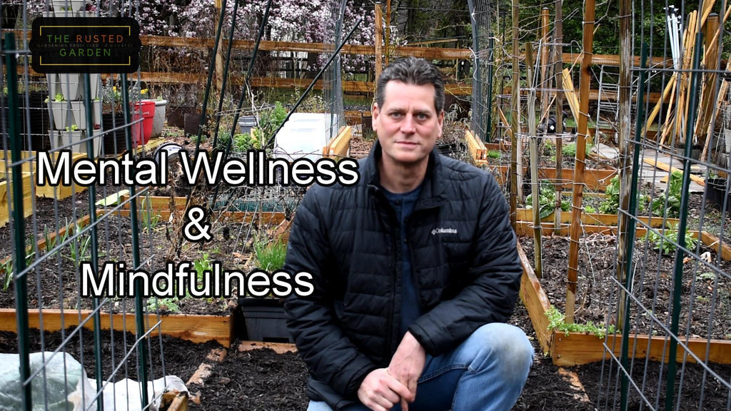Mental Wellness & Mindfulness in the Garden E-2: Breaking Negative 'What If' Scenarios & Creative Planning
