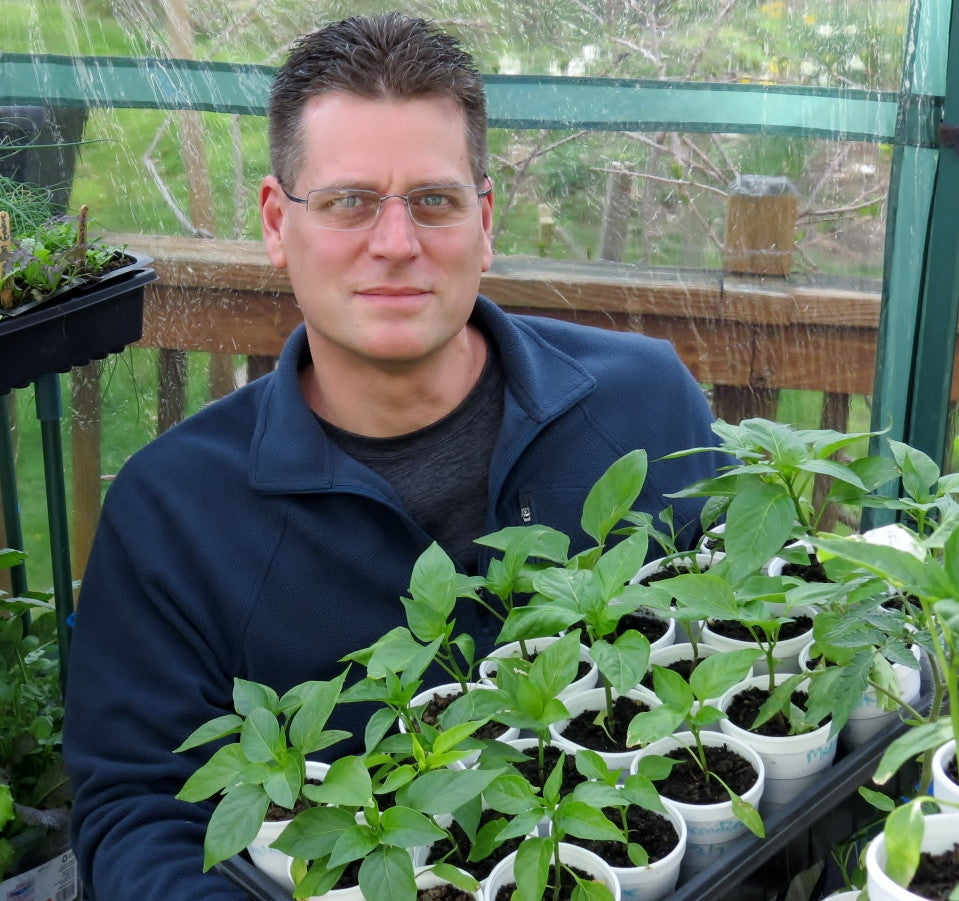 How To & The Benefits of Topping Off or Pruning Pepper Plants:  Several Video Examples with Control Plants