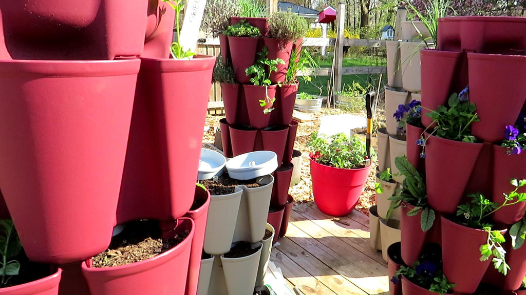 What is the Key to Having A Successful Vegetable & Flower Container Garden?