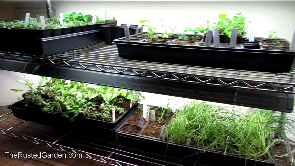A Complete Video Series on Starting Vegetables, Flowers & Herbs Indoors: A 20+ Video Collection