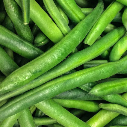 Bean Seeds - Tendergeen Bush