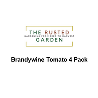 TRG Collection of 4 Brandywine Tomato Varieties Red, Pink, Yellow & Black