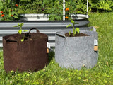 TRG GroFab Fabric Pots - 10 Gallon 3 Pack