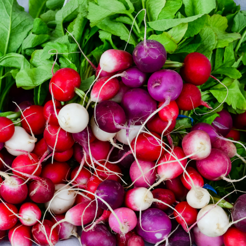 Radish Seeds - Easter Egg Mix