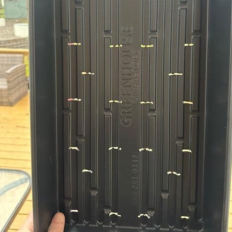 Seed Starting Flats:  3 Pack WITH holes for Drainage