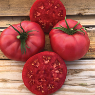 **NEW** Tomato Seeds Ponderosa Pink (Heirloom)