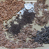 Bees, Beneficial Insects & Butterflies: 5 Selected Mixed Herbs .5 Ounce