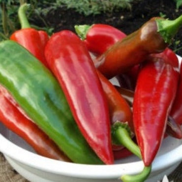 5 Pack Hot Pepper