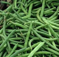 Bean Seeds Kentucky Wonder (Pole) Beans