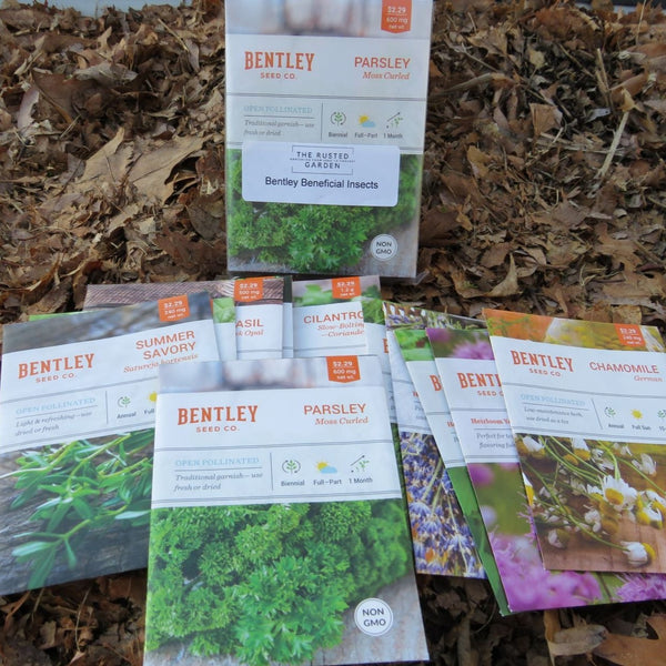 Bentley Beneficial Insects Herb Collection - 12 Varieties