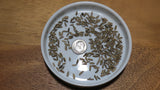 Herb Seeds - Fennel