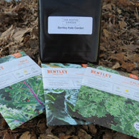 Bentley Kale Garden Collection - 3 Varieties