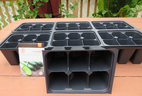 seed planting cells Seed Starting Insert Cells (6 Cells Per Unit - LARGE)