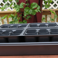 Seed Flats and Seed Starting Insert Cells (Large 6 Count) 3 flats and 108 Total Cells