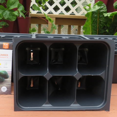 Seed Starting Insert Cells (6 Cells Per Unit - LARGE) - 1 Insert / 6 Units