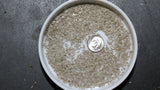 Lettuce Seeds - Paris Island Cos Romaine (Heirloom)