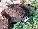 TRG Raised Bed Home Garden Kit (Standard): Pouches, Seeds & Organic Oils
