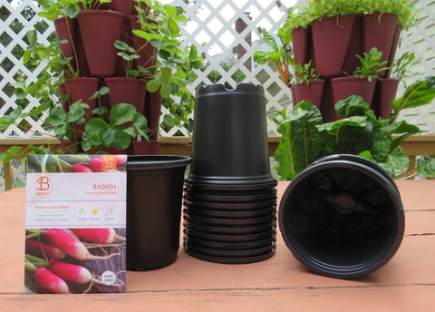 basic garden seeds Seed Starting & Transplant Basic Gardening Package (Seeds, Flats, & Ce – The Rusted Garden