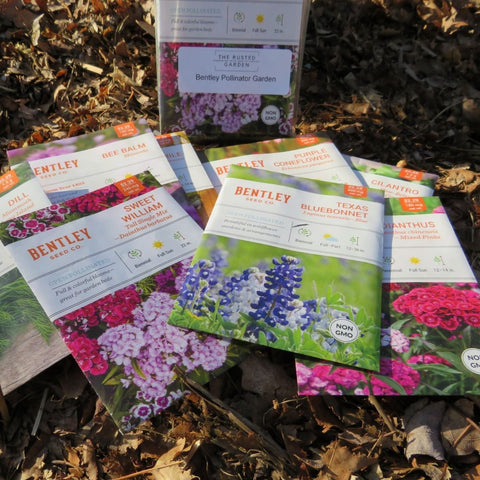 Bentley Pollinator Garden Collection - 8 Varieties Flowers / Herbs