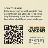 Basil Seeds Genovese: TRG/Bentley QR Scan and Grow Seed Packs