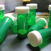 50 Green Seed Saving Bottles with Lids (Bulk)