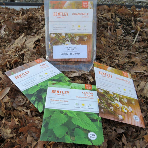 Bentley Tea Garden Collection - 3 Varieties