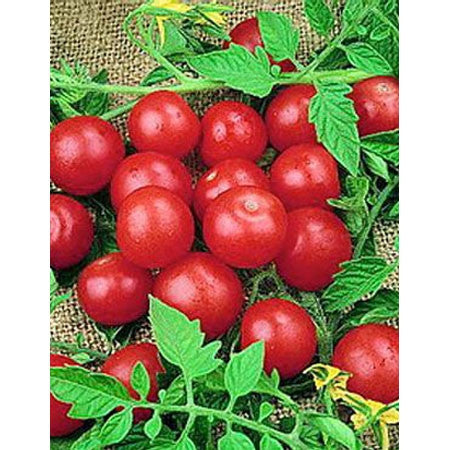 Tomato Seeds Cherry Small Red (Heirloom)